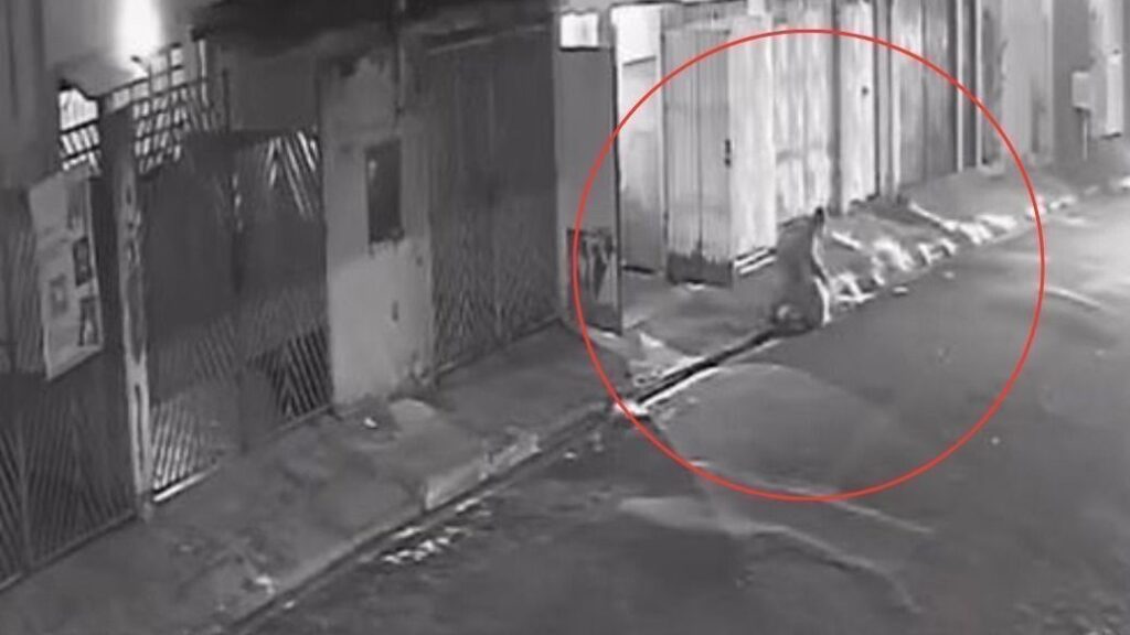 Homem que atirou em dentista é morto em confronto com a Rota em SP