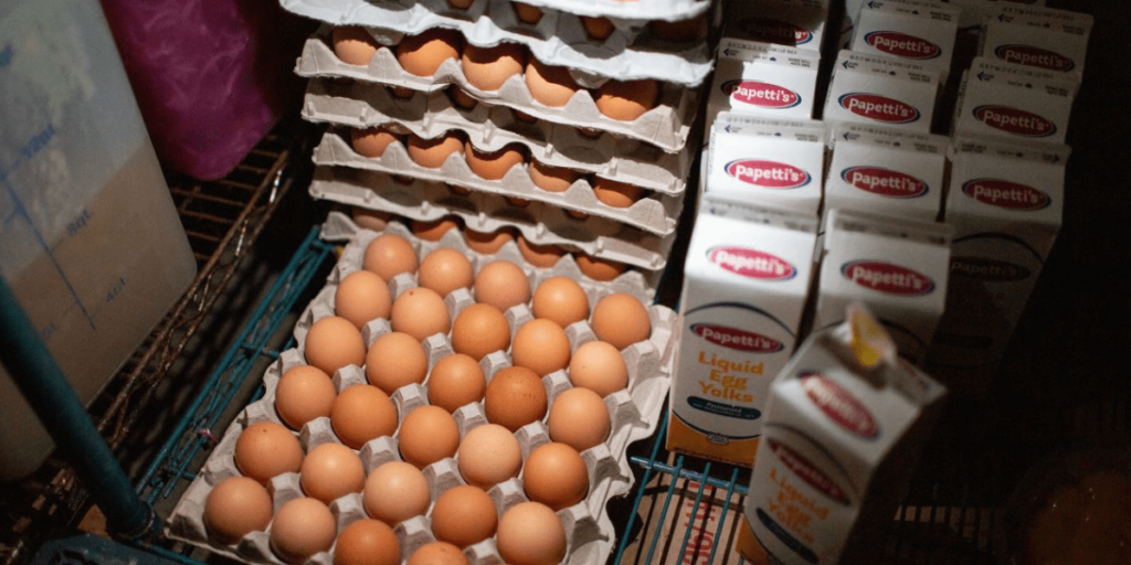 Trump culpa Biden pelo aumento dos preços dos ovos nos EUA