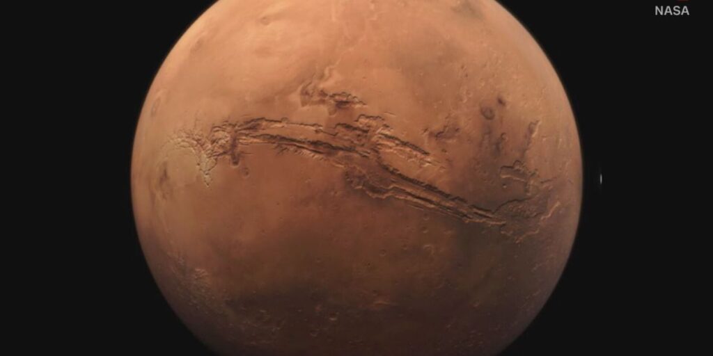 Starship fará viagem a Marte no final de 2026, diz Elon Musk