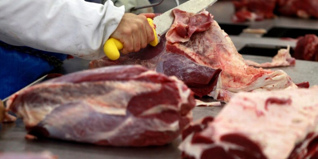 Brasil registra recorde em produção de carnes em 2024, diz IBGE