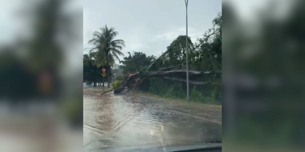 Chuva derruba árvore, causa alagamentos e deixa moradores sem energia em MG