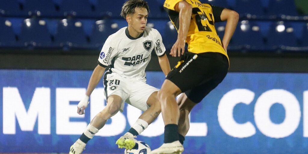 Botafogo entra na lista de transfer ban da Fifa