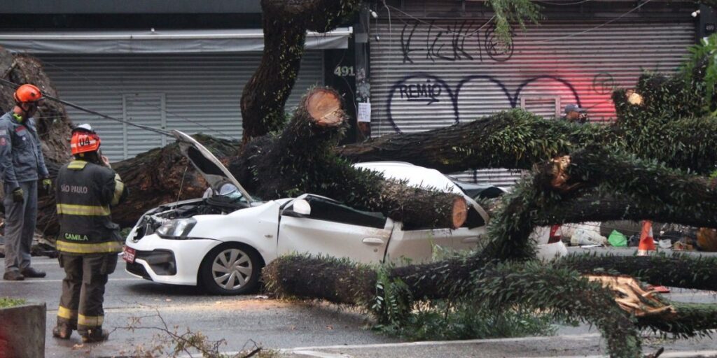 SP: Taxista morre após árvore cair sobre carro; teto de restaurante desaba