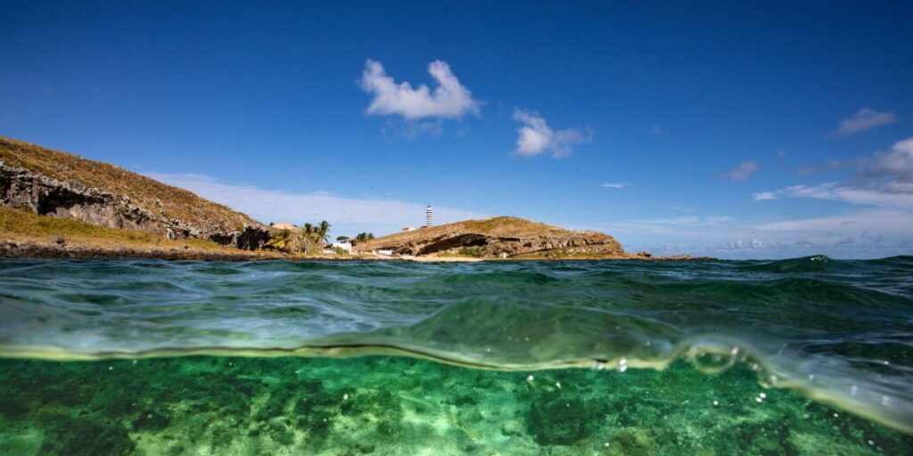 Santuários marinhos do Brasil estão contaminados por microplásticos