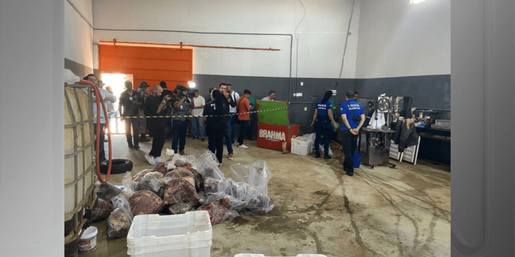 Abatedouro clandestino de cavalos vendia carne dos animais em Anápolis