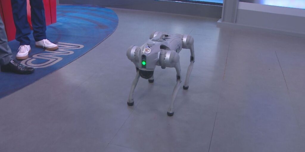 Programa de segurança usa pet cibernético na Avenida Paulista