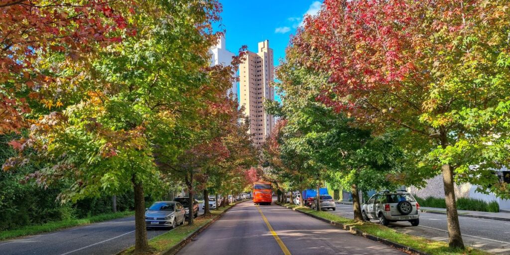 Massa de ar frio deve deixar clima mais ameno no Brasil em abril