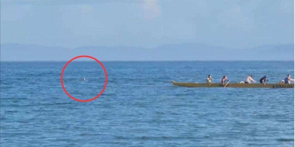 Homem joga carro no mar e nada por duas horas para fugir da polícia em SC