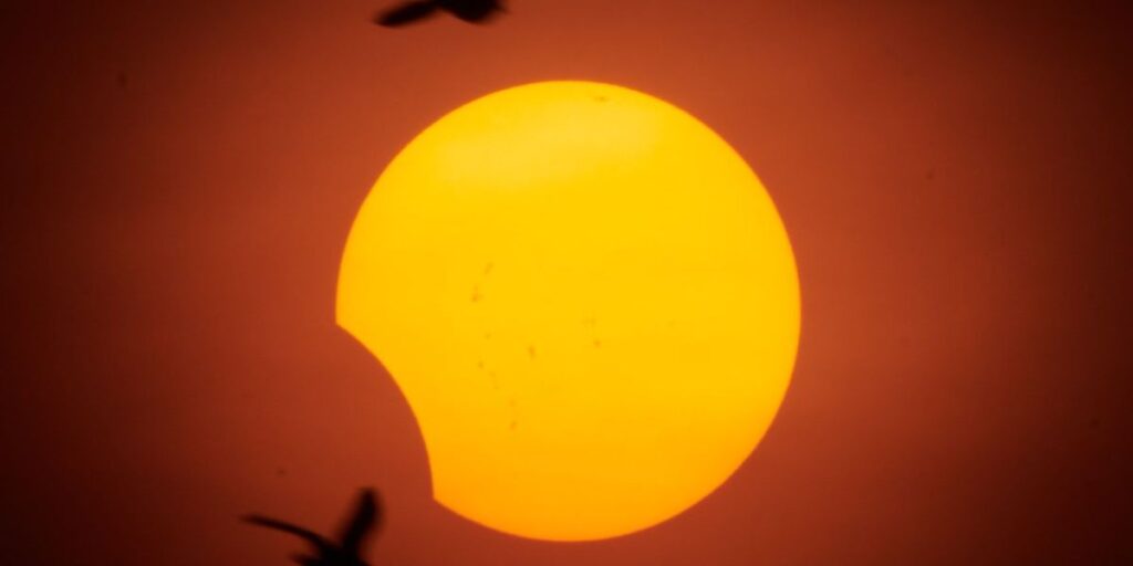 O que é um eclipse solar parcial? Saiba a diferença e conheça suas fases