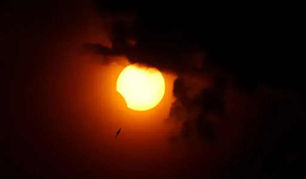 Eclipse solar parcial: saiba tudo sobre o fenômeno deste sábado (29)