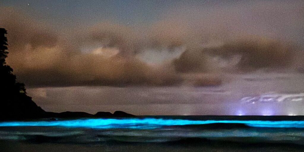 "Onda de Luz" em praia impressiona moradores e turistas em Ubatuba