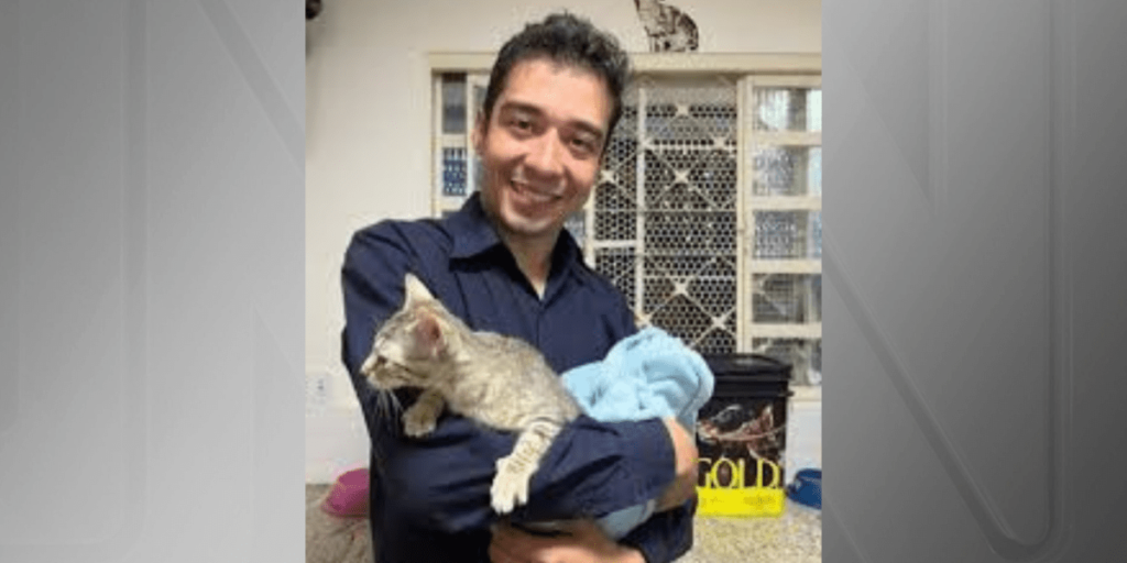 Psicólogo que fez "experimentos" com gatos no DF é indiciado 16 vezes