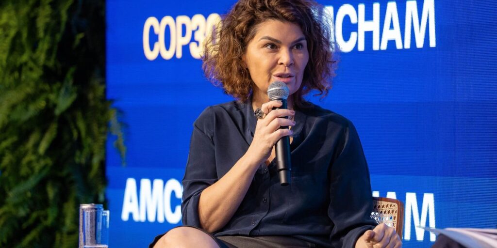 Para diretora do BNDES, mercado não resolve financiamento ambiental sozinho