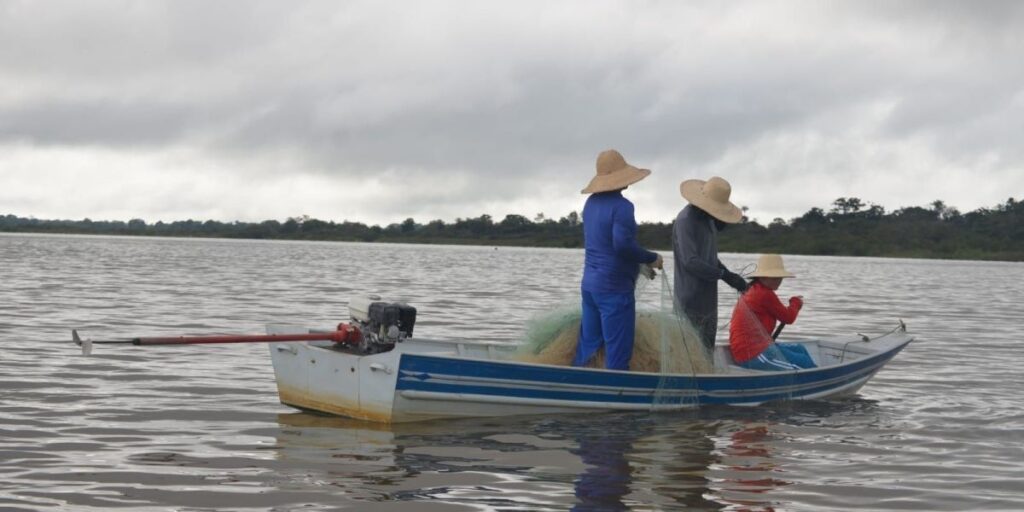 Amazonas retoma pesca de tambaqui após período de defeso