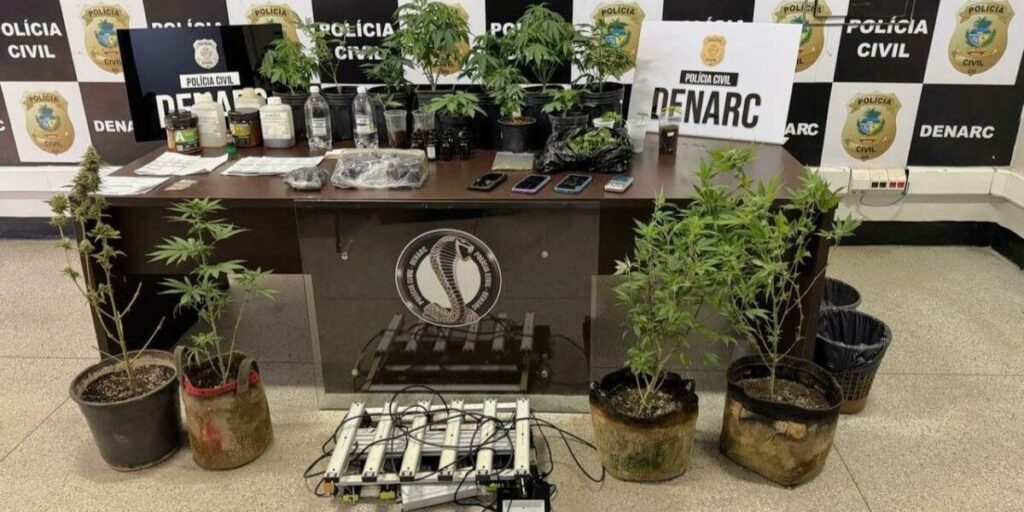 Laboratório de maconha usado na produção de óleo e shampoo é fechado em GO