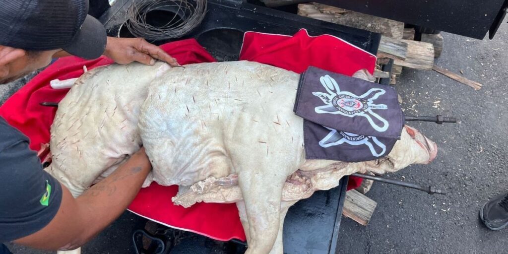 Torcedores do Corinthians assam porco antes de decisão com o Palmeiras