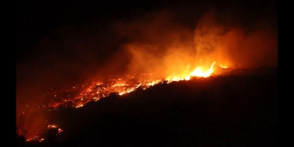 Vídeo: Incêndios florestais enormes atingem zona rural da Latakia, na Síria