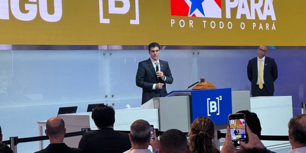 Sem concorrência, grupo vence leilão para recuperar área degradada no Xingu