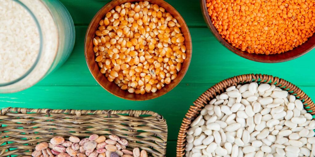 Setor produtivo pede flexibilidade no bolsa família para baratear alimentos