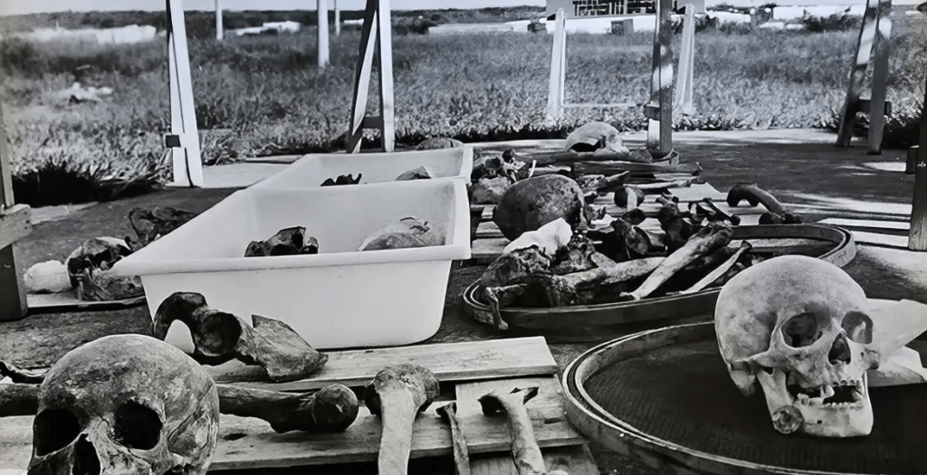 Entenda o que foi a vala de Perus, utilizada durante a ditadura militar