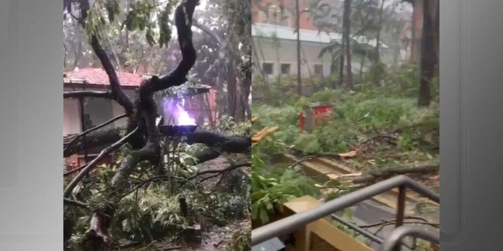 Alunos do Mackenzie gravam força da chuva em SP; veja vídeo