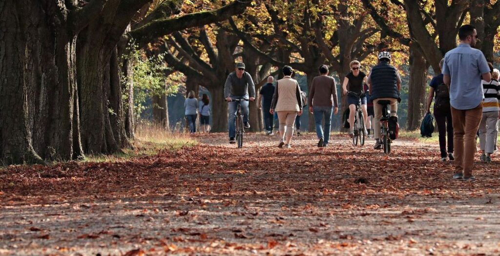 Outono 2025: saiba como será essa estação e a previsão do tempo