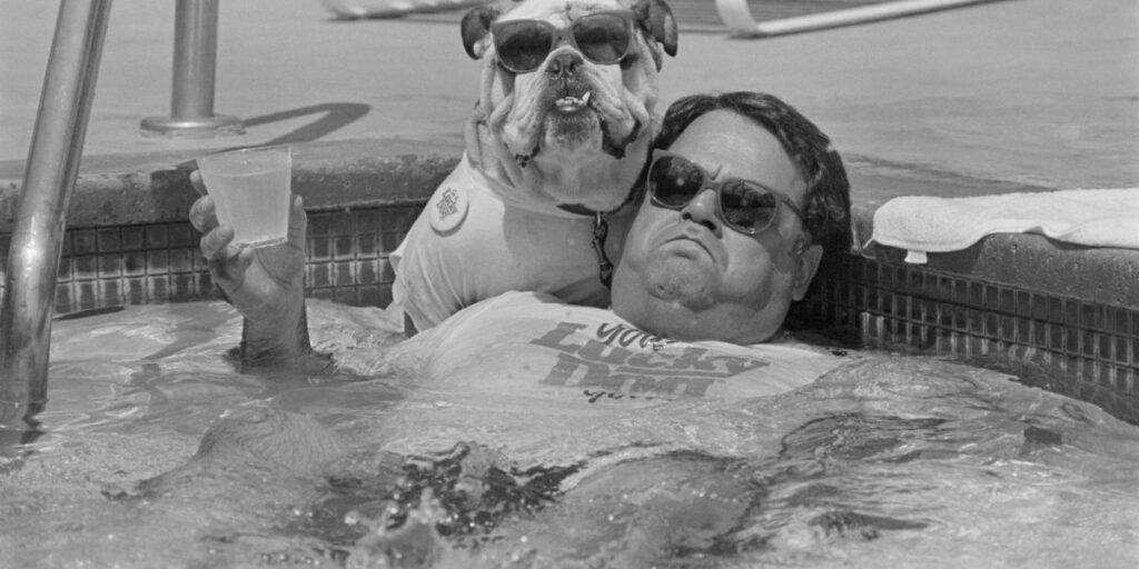 Tutores tendem a escolher cães que se pareçam com eles, dizem especialistas