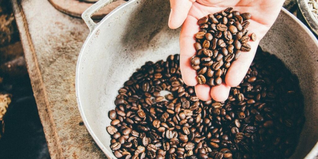 Fundação oferece bolsa para mestrado em café na Itália; conheça