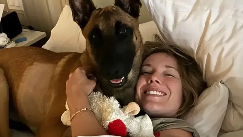 Tenista resgata e adota cachorro atropelado durante Miami Open