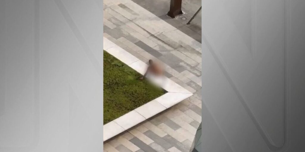 Homem pelado na Faria Lima é detido pela polícia de SP