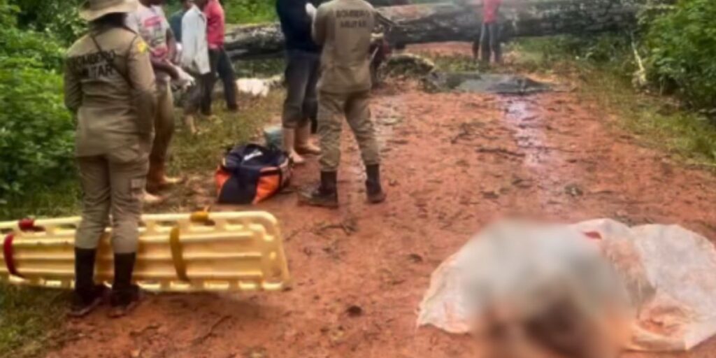 Árvore cai e mata duas pessoas no interior do Acre