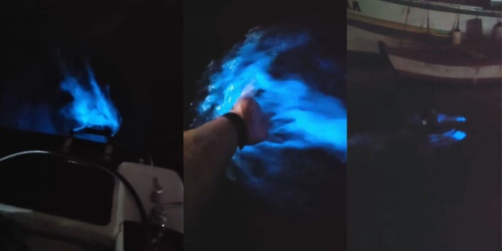 "Mar pegando fogo": fenômeno ilumina água em praia de Ilhabela (SP); veja
