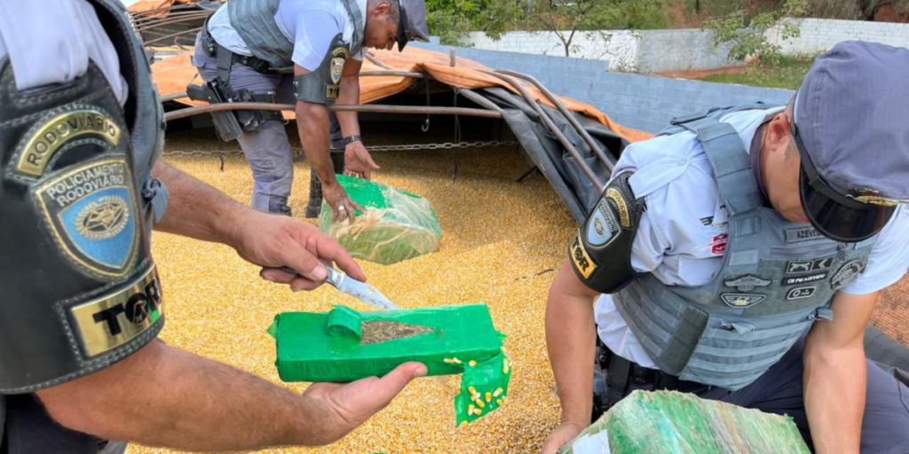 Maconha a granel: 2 toneladas de droga são apreendidas no interior de SP