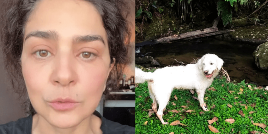Leticia Sabatella relembra vídeos de cães doados sem sua autorização