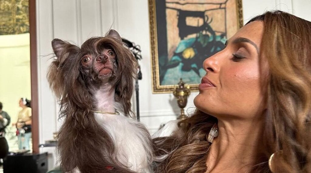 Criador de "Beleza Fatal" explica motivo do sumiço de Lolindo da novela