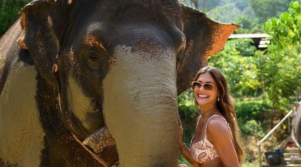 Mari Gonzalez abraça elefantes na Tailândia: "Momento único e especial"