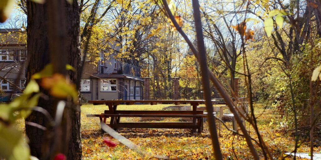 Equinócio de outono: entenda fenômeno que acontece nesta quinta (20)