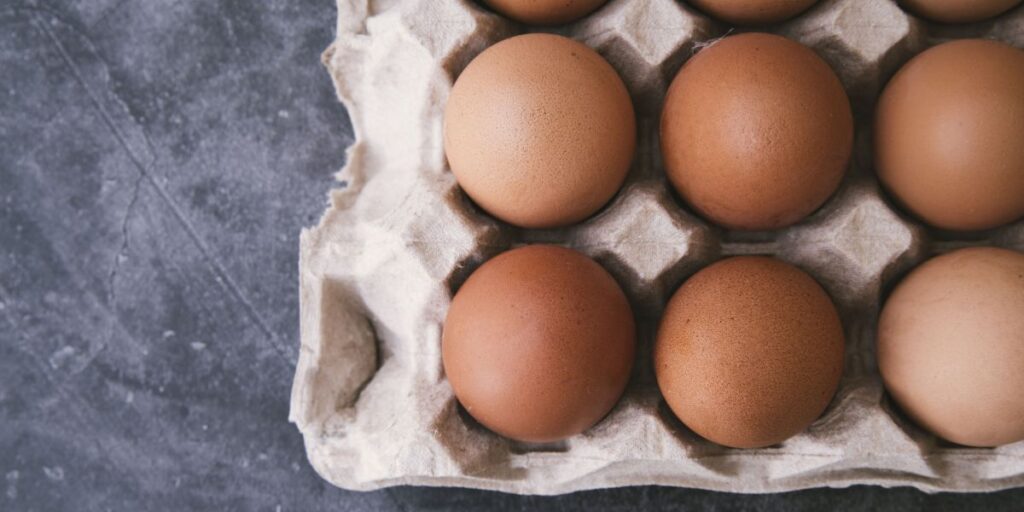 Produção de ovos bate recorde de 4,67 bilhões de dúzias em 2024, diz IBGE