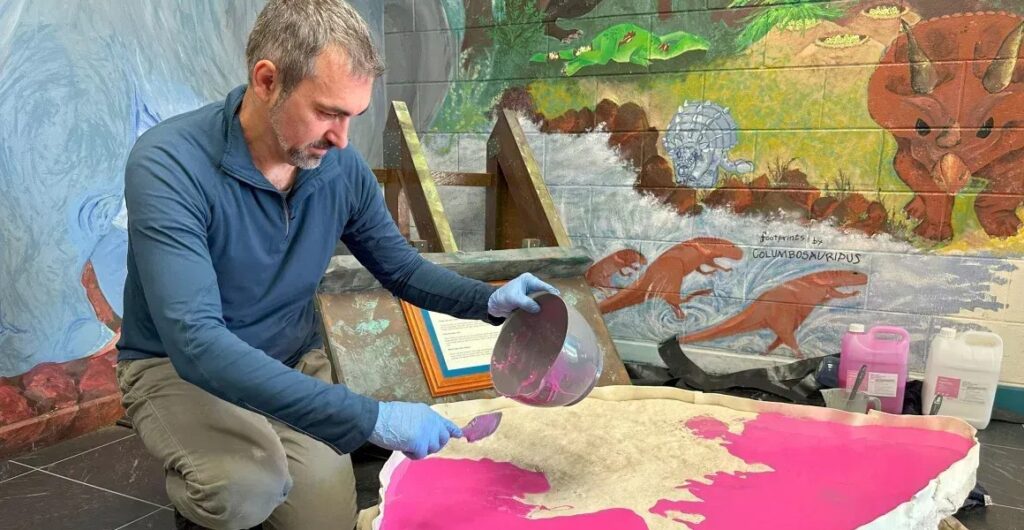 Mais de 60 pegadas de dinossauro são descobertas em escola australiana