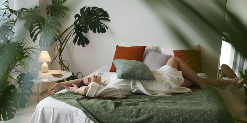 Plantas ajudam a dormir melhor? Entenda a atuação e saiba quais comprar