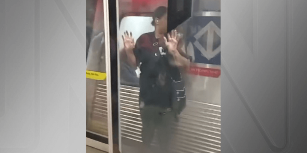Porta fecha e mulher fica presa entre o vão e a plataforma no metrô de SP