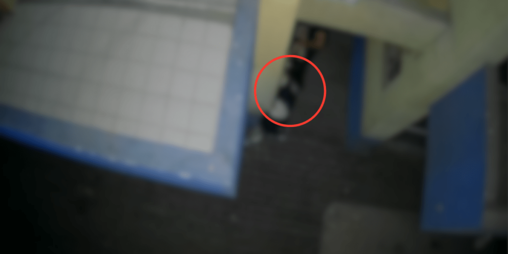 Vídeo: câmeras de segurança flagram violência sexual no litoral do Paraná