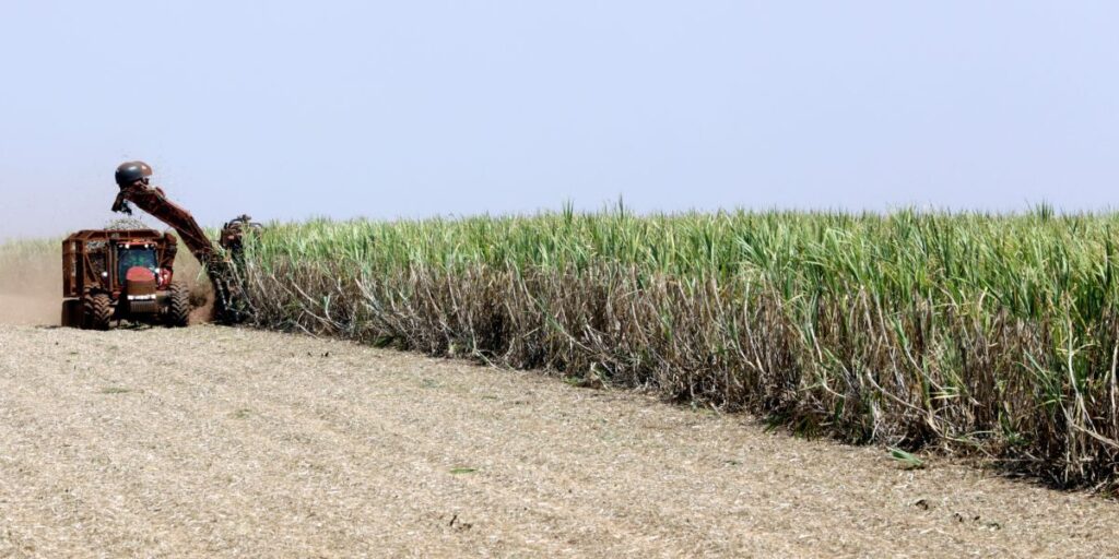 Governo defende ampliar parceria com Vietnã na produção de biocombustíveis