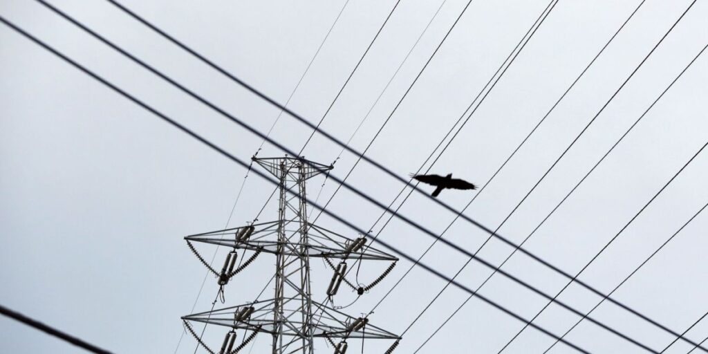 Setor elétrico: fundos de investimentos podem acelerar fusões, diz analista