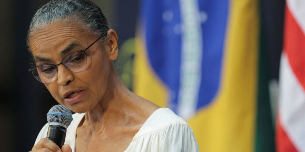 Marina diz que vai se reunir com Silveira e Ibama após Lula voltar do Japão