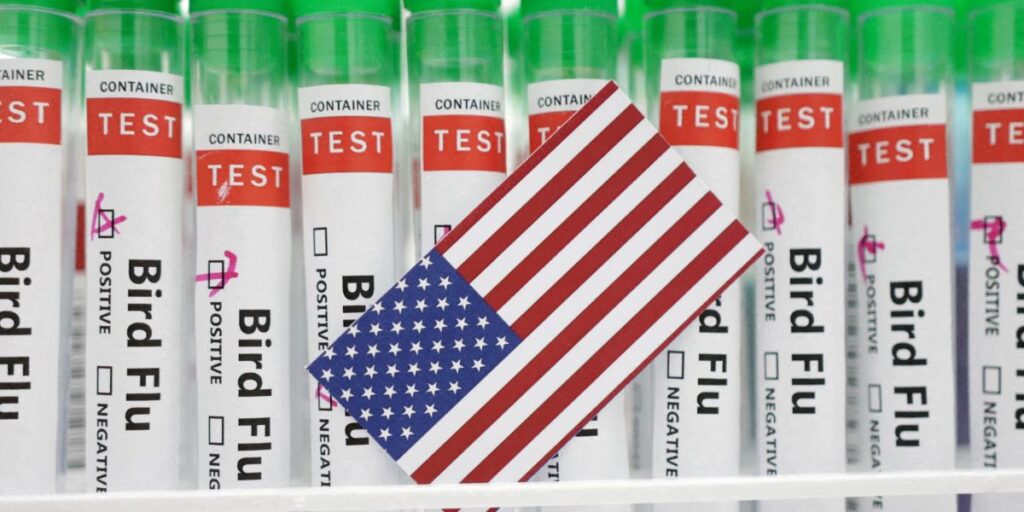 EUA relatam primeiro surto de gripe aviária H7N9 desde 2017