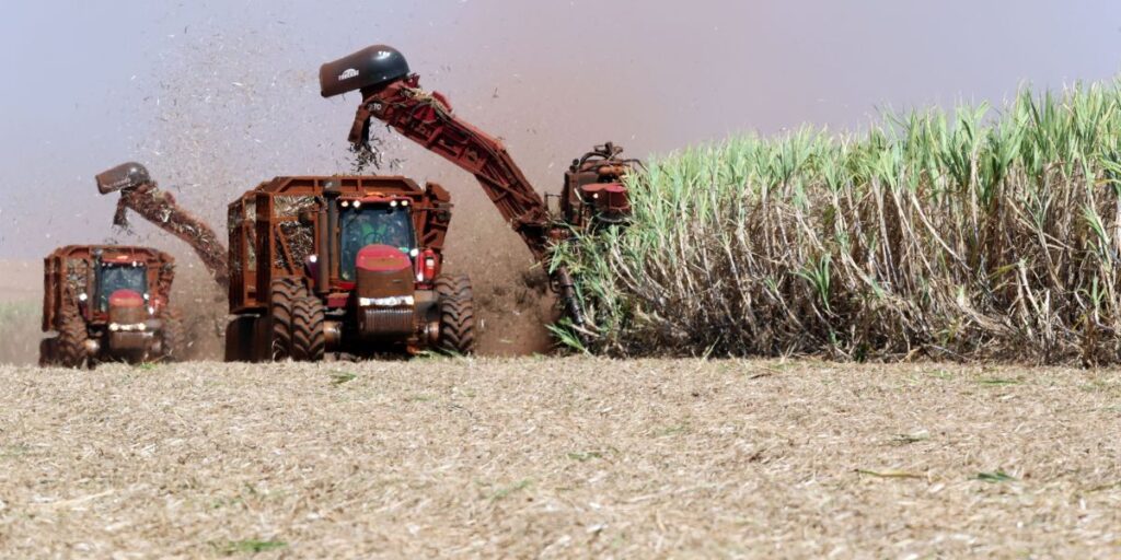 Incêndio na São Martinho pode reduzir até 30% da capacidade de usina
