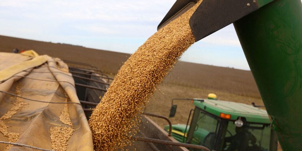 Datagro eleva estimativas de safras de soja e milho do Brasil