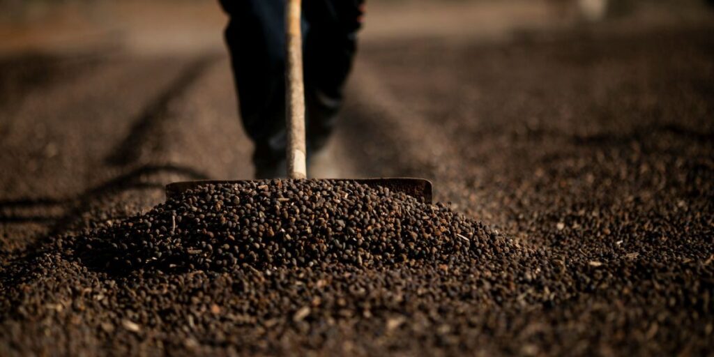 Setor cafeeiro dos EUA pede a governo Trump que isente produto de tarifas