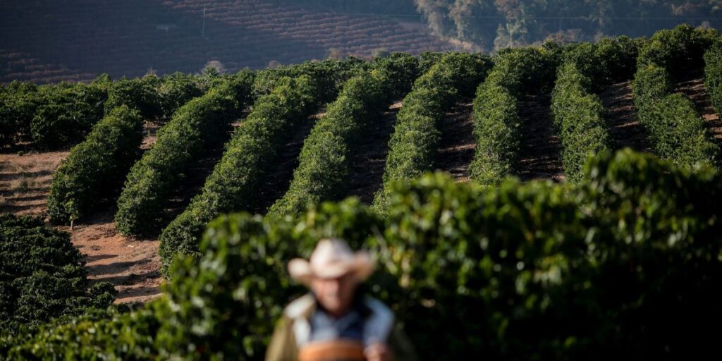 Roubo de café aumenta nos EUA com alta dos preços